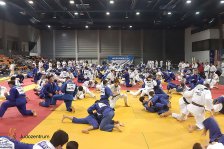 11.-13.11.2023 Europacup und Trainingslager in Györ